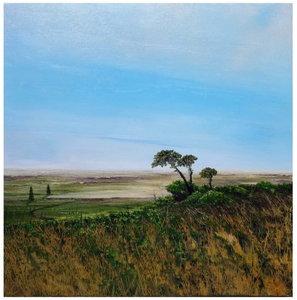 toprakokusu112-32466