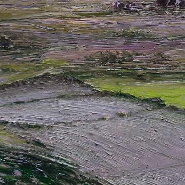 toprakokusu-34697 - TURGAY  SARI
