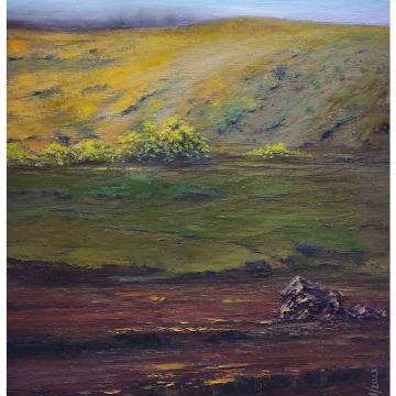 toprakokusu-36605 - TURGAY  SARI
