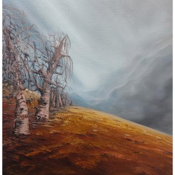 toprakokusu-39075 - TURGAY  SARI