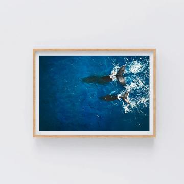 Diving into Freedom - Derya Bütüner