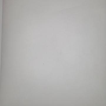Ölü kelebekler kusan kız  - Melek Aksu