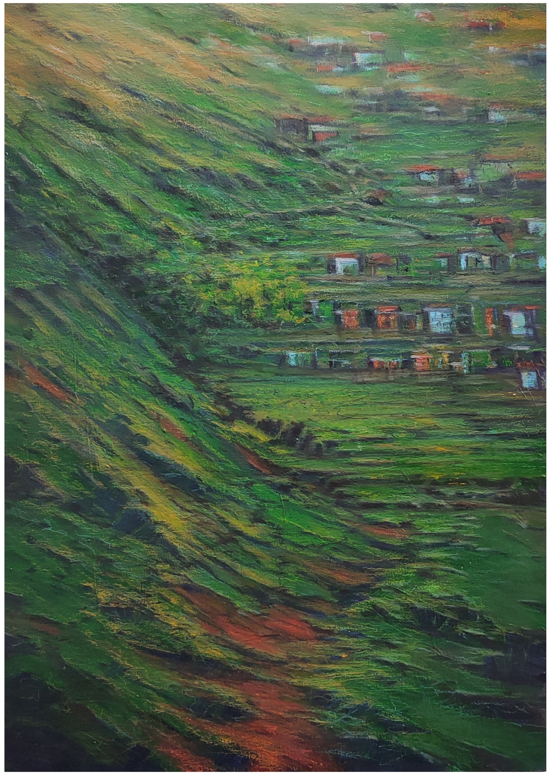 TURGAY  SARI