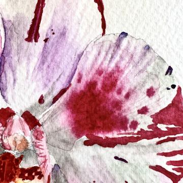 Whisper of the Orchid 2 - Güldeniz Önayak Algül