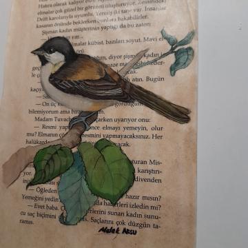 Daldaki kuş - Melek Aksu