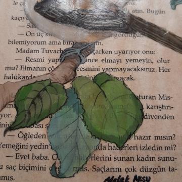 Daldaki kuş - Melek Aksu