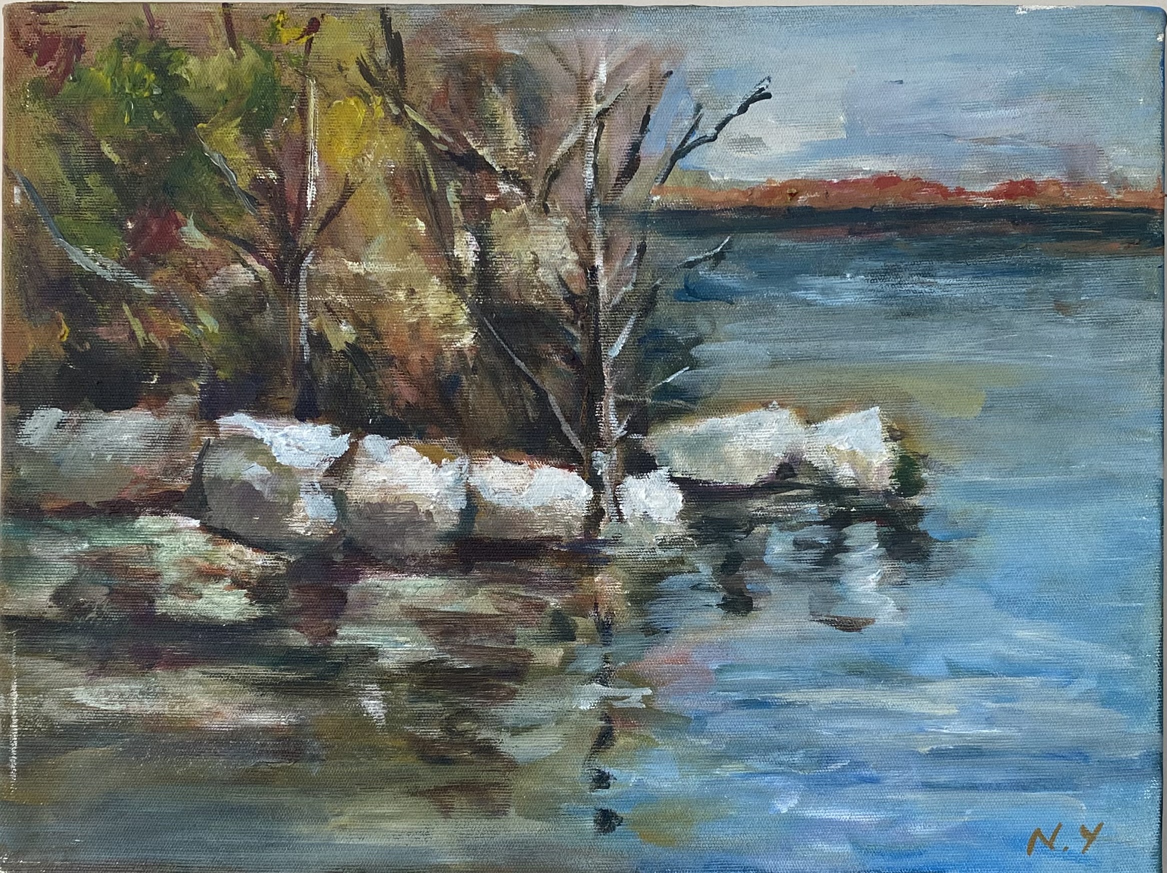 Rocks and  Sea