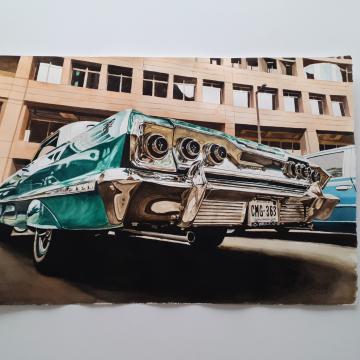 IMPALA - şevket kütle