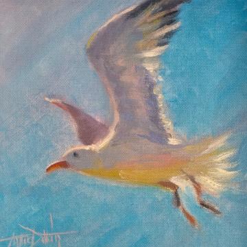 MARTI - aytac dutkin