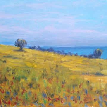 DİDİM -- EN PLEIN AIR - aytac dutkin