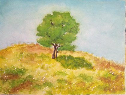 Tepedeki Ağaç 
