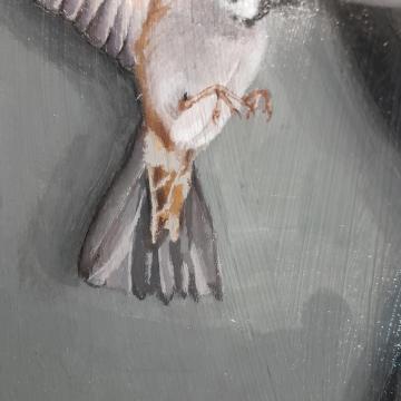 Uçuş Ve Kök - Melek Aksu