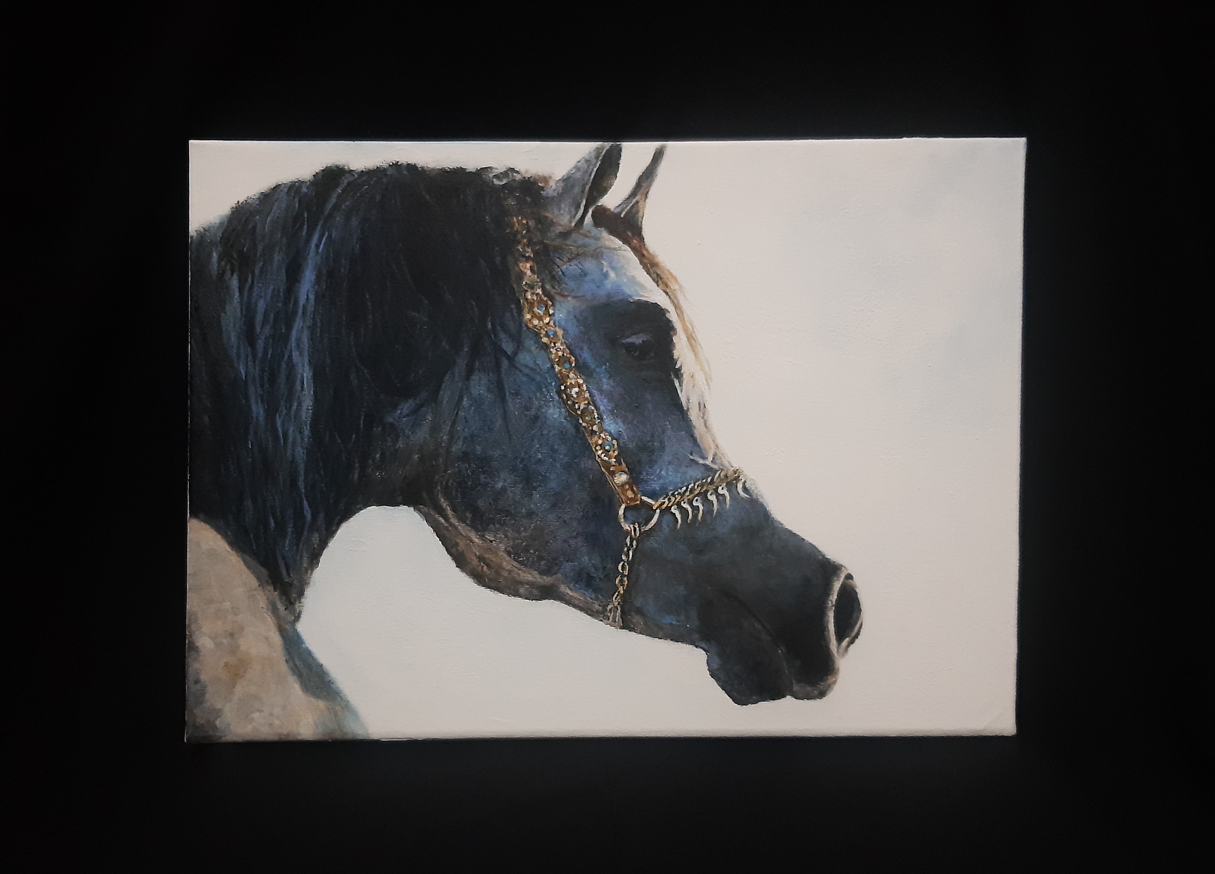 " ATLAR VE UZAKLAR "