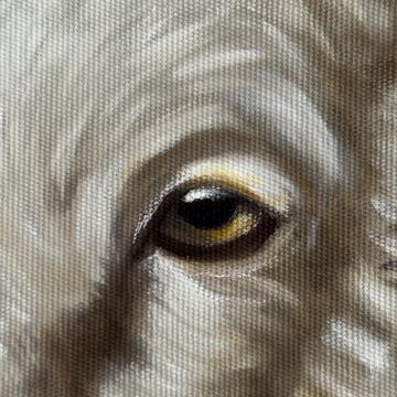 “Öz Onarım”  TÜYB - Merve Yüzügüllüer