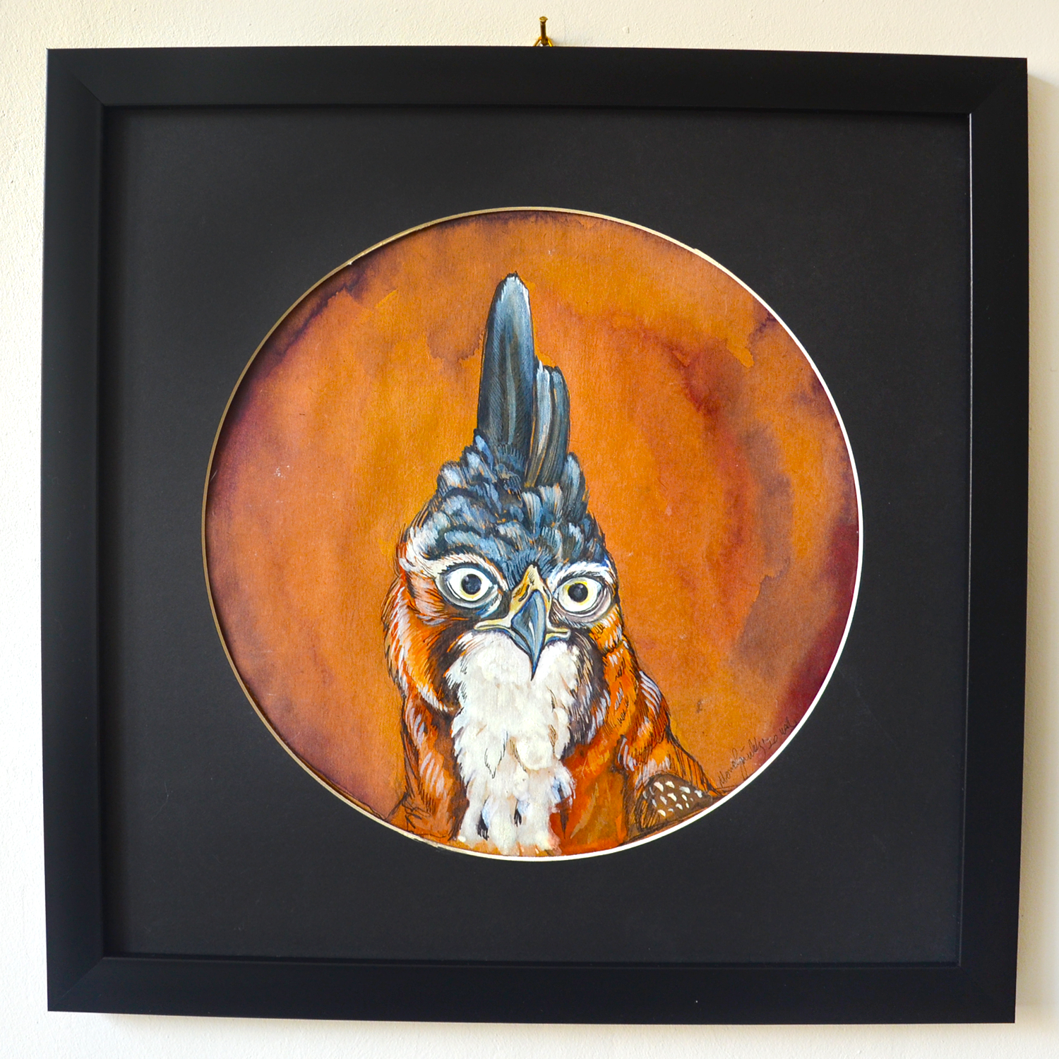KUŞ PORTRELERİ SERİSİ I BROWN HAWK I ORİJİNAL SANAT ESERİ I MERVE GÜRLEK